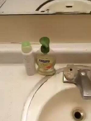 Cat found a fun place to chill