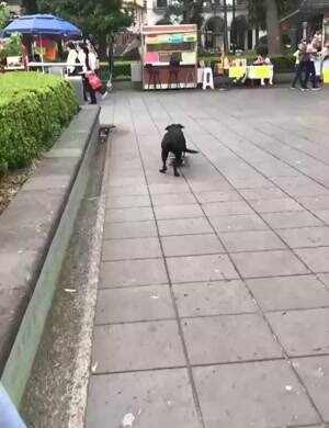 Doing some skateboarding